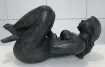 Image 31